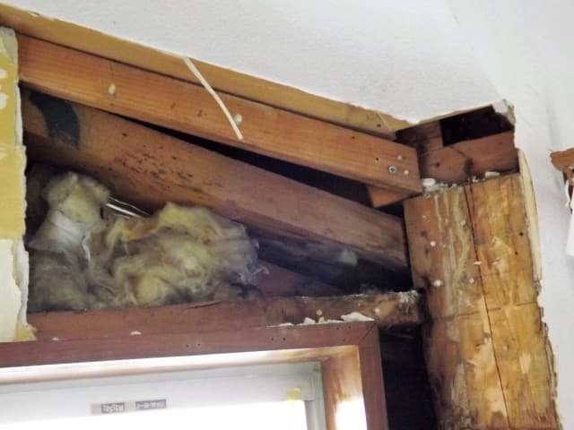 シロアリの被害に遭った家は売却できる?注意点は?